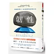 韌性：挺過挫折壓力，走出低潮逆境的神秘力量