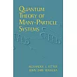 Quantum Theory of Many-Particle Systems