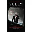 Sully: My Search for What Really Matters