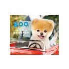 BOO可「小布」的都市生活大冒