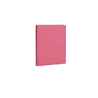 Paperthinks Slim Notebook 手拿筆記本Fuchsia