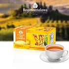 錫蘭黃金谷鳳梨風味紅茶 (25包/盒)
