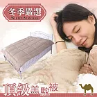 Homebeauty 皇家御用暖呼呼頂級蒙古純羔駝被100%-雙人180*210