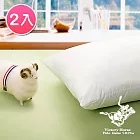 【POLO】台灣精製高密度防蹣抗菌潔淨羊毛枕-2入