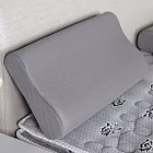 【Air】貝妮3D工學型科技乳膠枕
