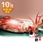 【幸福小胖】船凍A級透抽10隻(長21~26cm/隻)