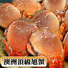 【優鮮配】九月特惠活動澳洲旭蟹500GX5組(3-5隻/組)