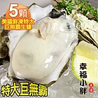 【幸福小胖】美國鮮凍特大巨無霸生蠔5顆(每顆300g以上)