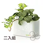 ecofun2U積木花盒桌面綠牆組(2入) -白色