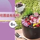 【啃食物】花園盆栽蛋糕(6吋)(含運)
