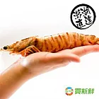 【買新鮮】澎湖野生大明蝦(450g±10%/盒 約8隻)