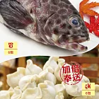 [柑仔店-六六大順加碼購]買野生石斑(600g)-海撰*6 送柑仔店手工水餃(900g)*6