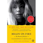 《我發瘋的那段日子》