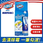 美國CLOROX 高樂氏多功能神奇漂白去漬筆56g (適用各材質衣物與磁磚矽膠)白色