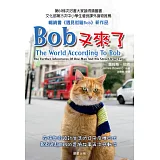 Bob又來了