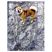 被遺忘的動物們：日本福島第一核電廠警戒區紀實