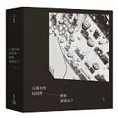 在城市的時間裡輕輕滴淌而下