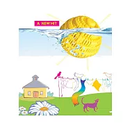 【Biocera】環保神奇洗衣球-單顆裝 免洗衣精 免洗衣粉 免柔軟精              (台灣總代理)