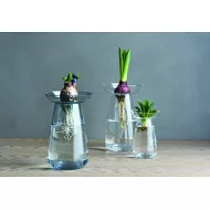 AQUA CULTURE 玻璃花瓶 (小)- 藍