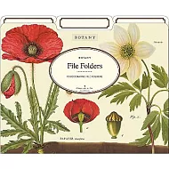 【Cavallini】File Folders資料夾(3入)_Botany