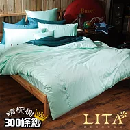 LITA麗塔(Magic Colors－蒂芬妮)特大四件式純棉薄被套床包組