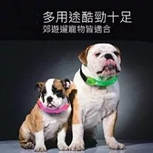 SHONA LED安全警示燈炫光藍