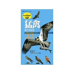 猛禽觀察圖鑑
