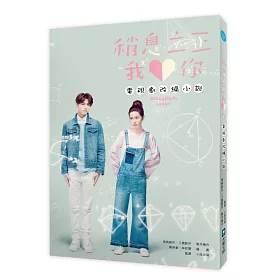 稍息立正我愛你 電視劇改編小說