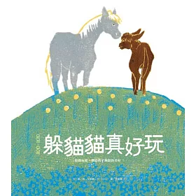 躲貓貓真好玩(精裝)