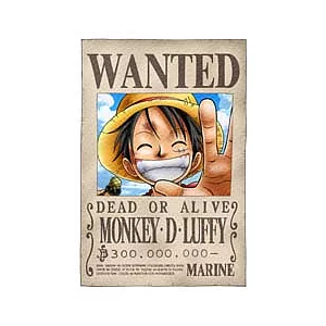 海賊王魯夫懸賞拼圖204片