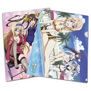I S(Infinite Stratos) L夾文件袋(7)