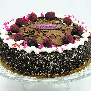 《黑貓探險隊母親活動-福利麵包》黑森林蛋糕