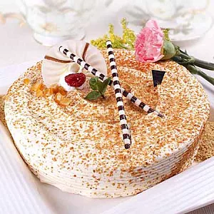 【買新鮮】母親節限量鹹蛋糕 胚芽岩鹽蛋糕 (8吋)*2