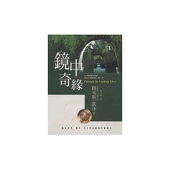 鏡中奇緣