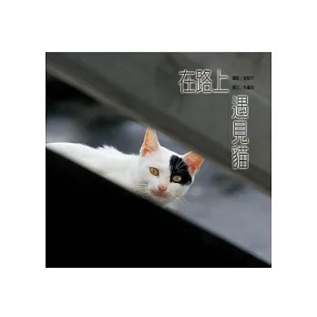 在路上,遇見貓