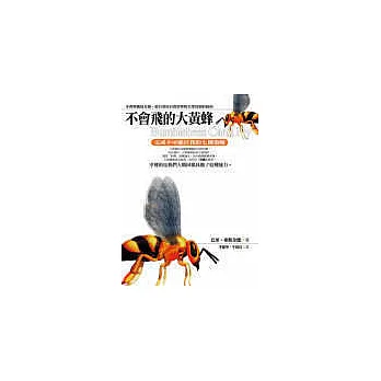 不會飛的大黃蜂：完成不可能任務的七個策略