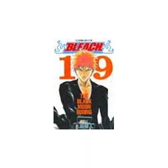 BLEACH 死神 19