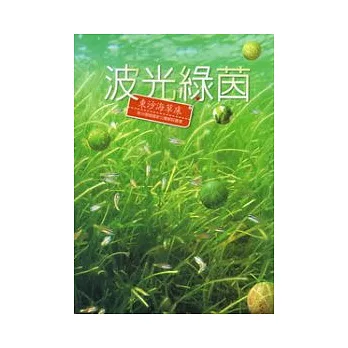 波光綠茵：東沙海草床