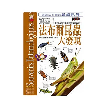 驚喜！法布爾昆蟲大發現