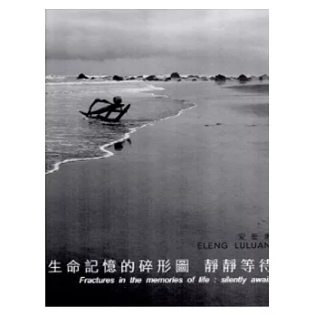 生命記憶的碎形圖：靜靜等待