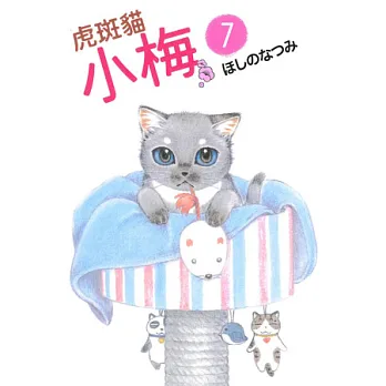 虎斑貓小梅 7