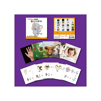 Baby IQ120識字卡-象形文字卡