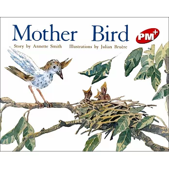 PM Plus Red (4) Mother Bird