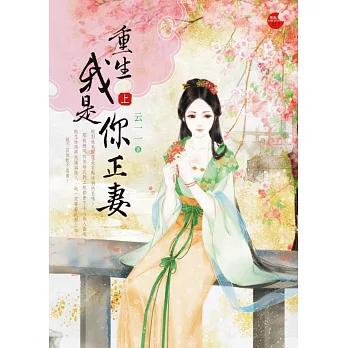 重生我是你正妻 上