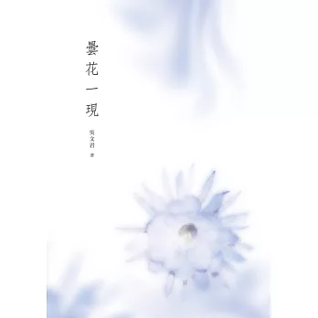 曇花一現