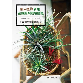 懶人植物新寵：空氣鳳梨栽培圖鑑