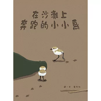 在沙灘上奔跑的小小鳥