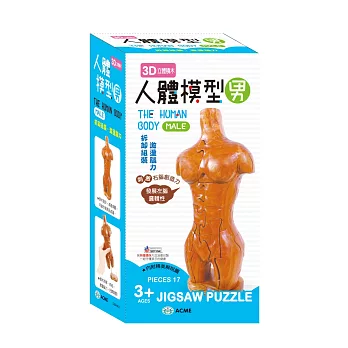 3D立體積木 人體模型(男)