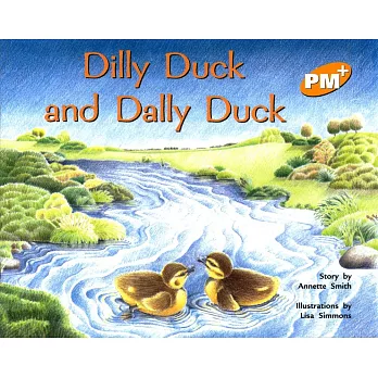 PM Plus Yellow (7) Dilly Duck and Dally Duck