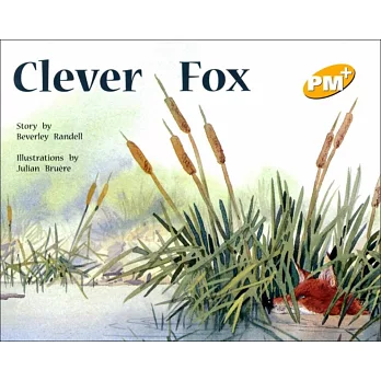 PM Plus Yellow (6) Clever Fox